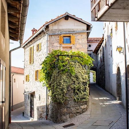 Ajdovščina Apartment Villa Irena Great For A Family Holiday With Free Parking And Ev Station מראה חיצוני תמונה