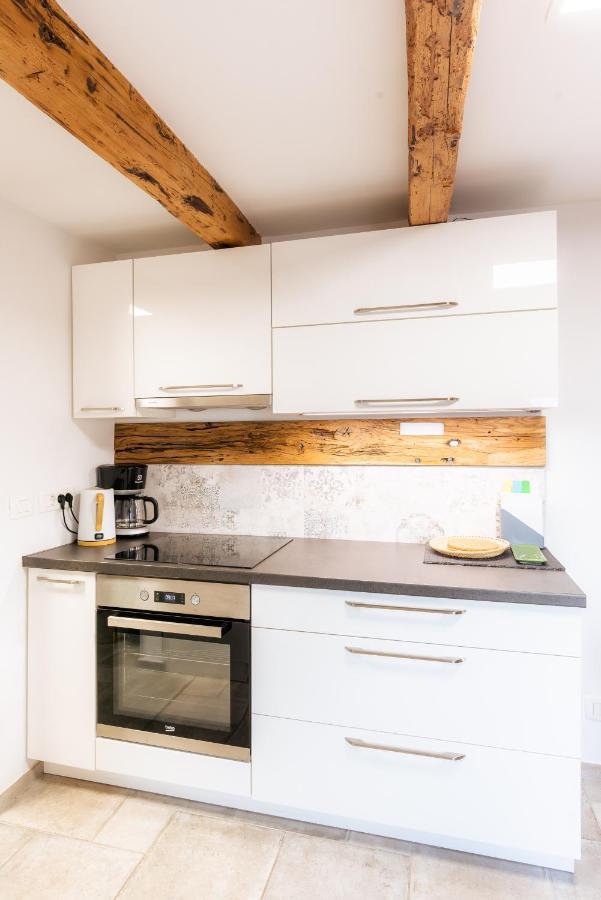 Ajdovščina Apartment Villa Irena Great For A Family Holiday With Free Parking And Ev Station מראה חיצוני תמונה
